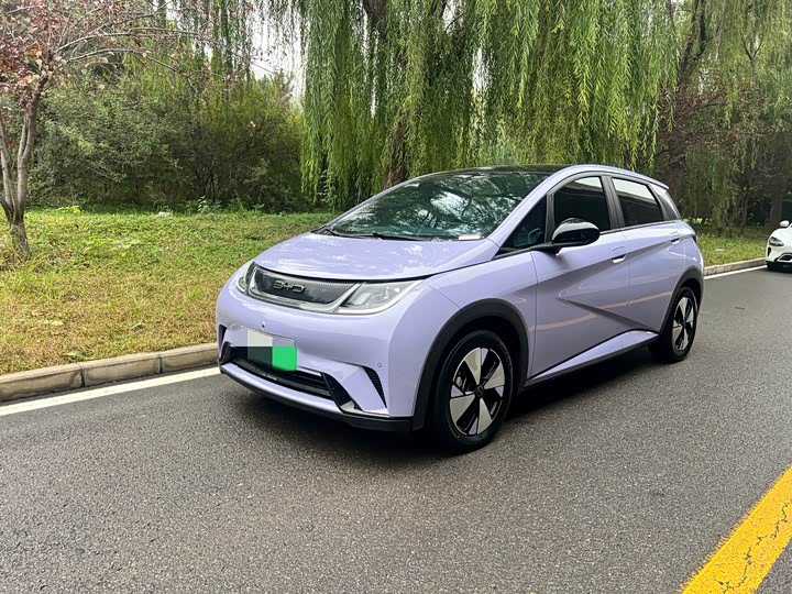 Фото 3 - BYD Dolphin