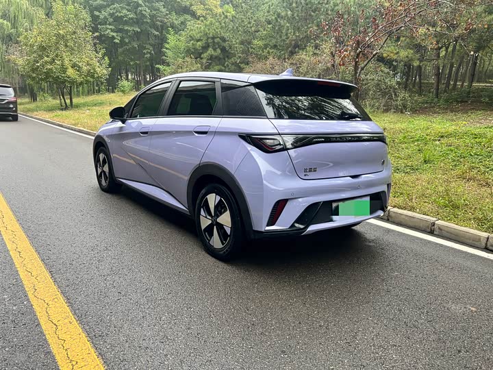 Фото 4 - BYD Dolphin