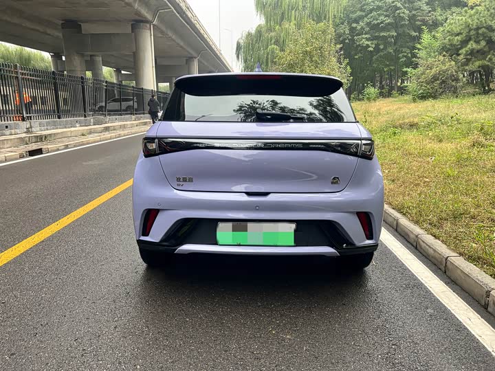 Фото 5 - BYD Dolphin