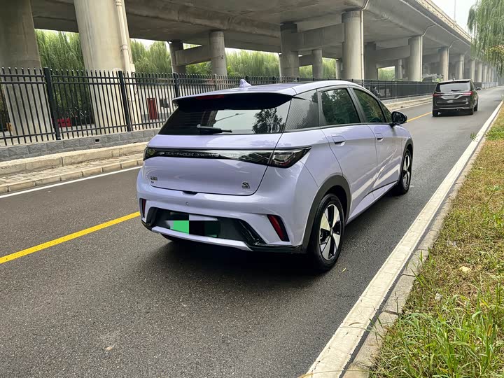 Фото 6 - BYD Dolphin