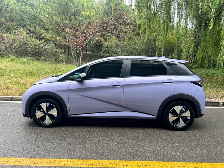 Фото 7 - BYD Dolphin