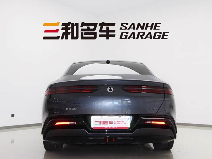 Фото 6 - Denza Z9