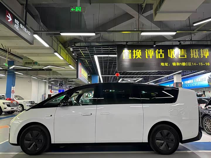 Фото 7 - LiXiang Mega