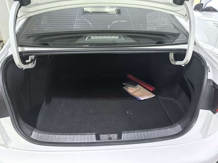 Фото 12 - Volkswagen Sagitar L