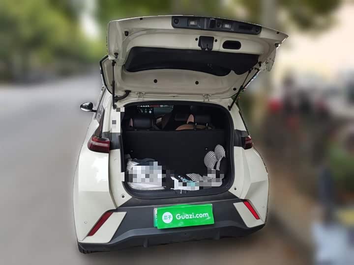 Фото 10 - BYD Seagull