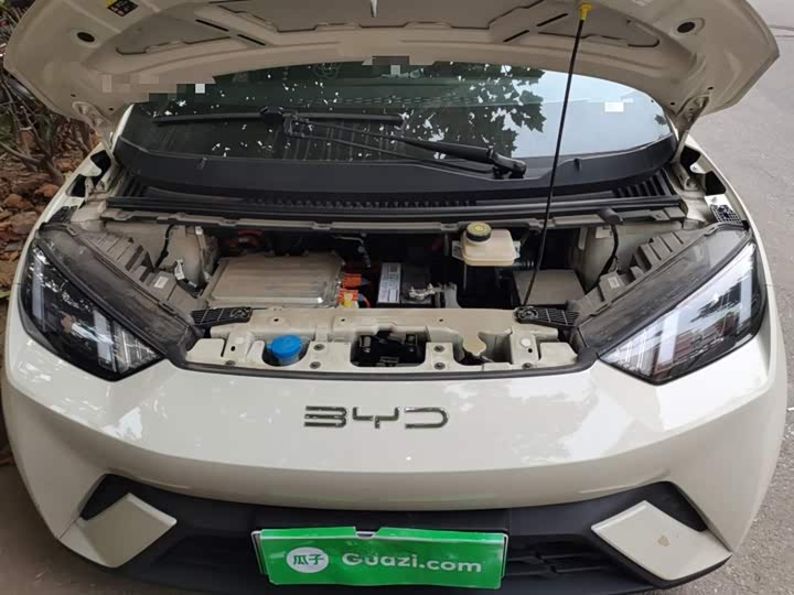 Фото 11 - BYD Seagull