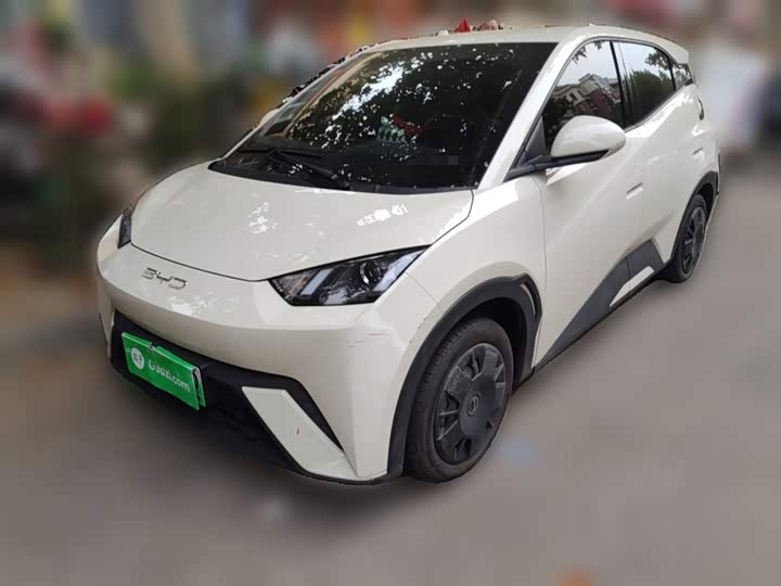 Фото 2 - BYD Seagull