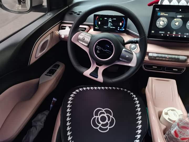 Фото 3 - BYD Seagull