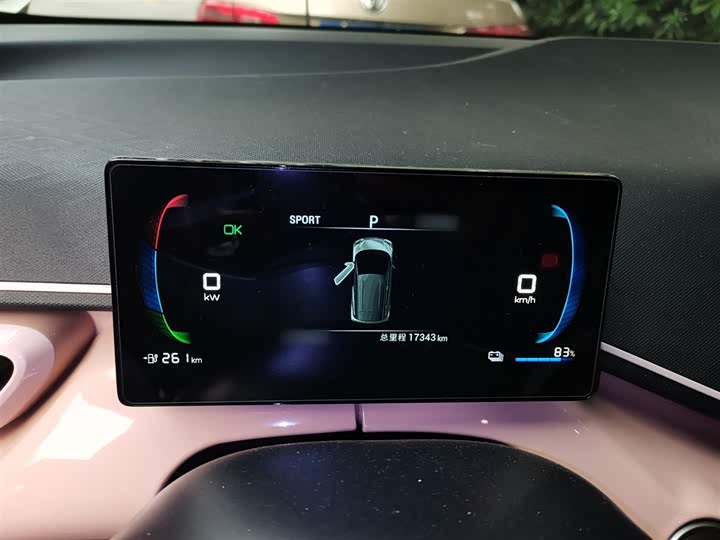 Фото 4 - BYD Seagull