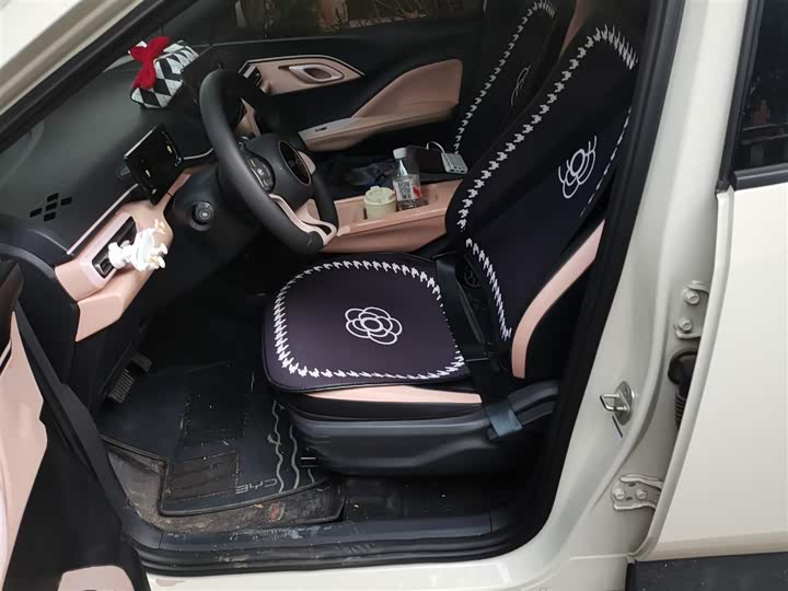 Фото 8 - BYD Seagull