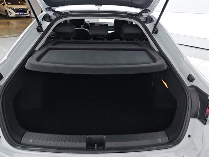 Фото 4 - Volkswagen Lamando L