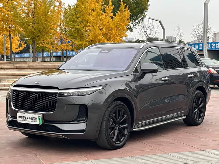 Фото 1 - LiXiang One