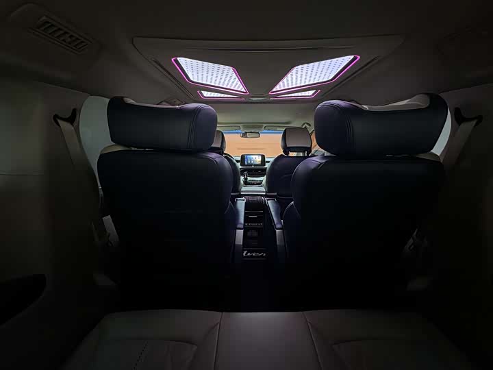 Фото 20 - Buick GL8 ES