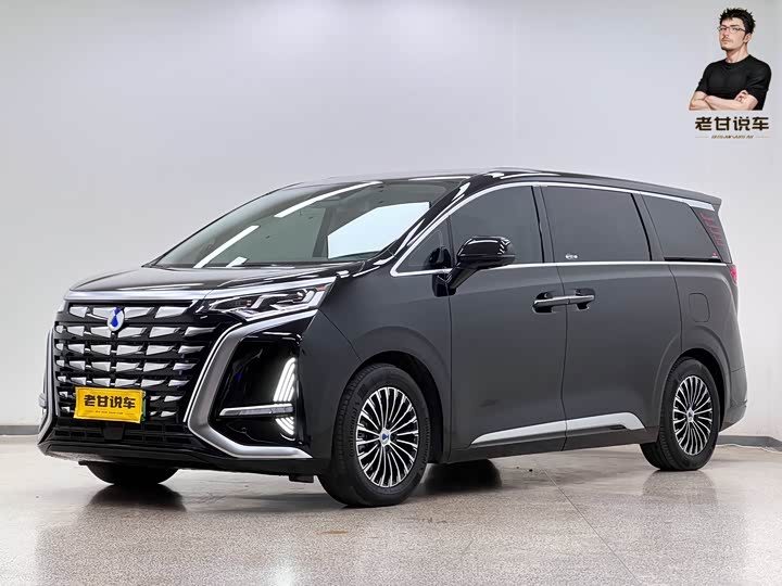 Фото 1 - Denza D9