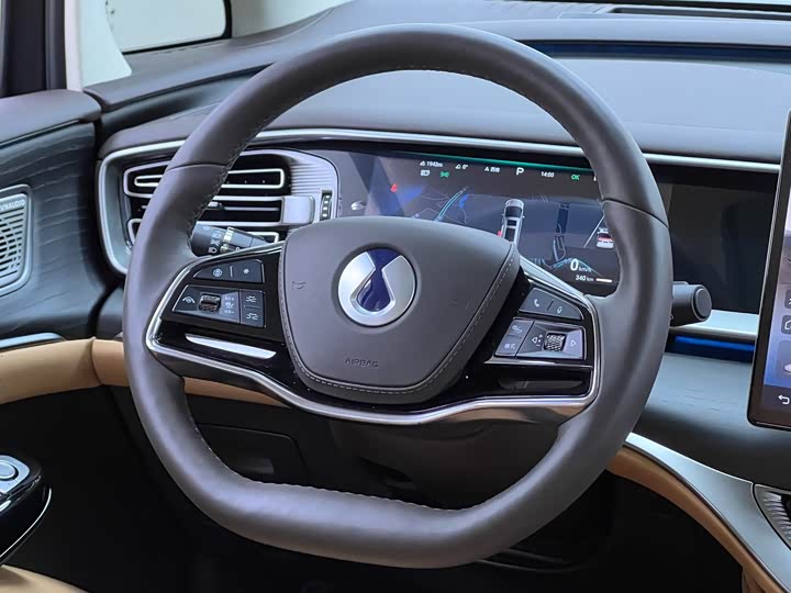 Фото 30 - Denza D9