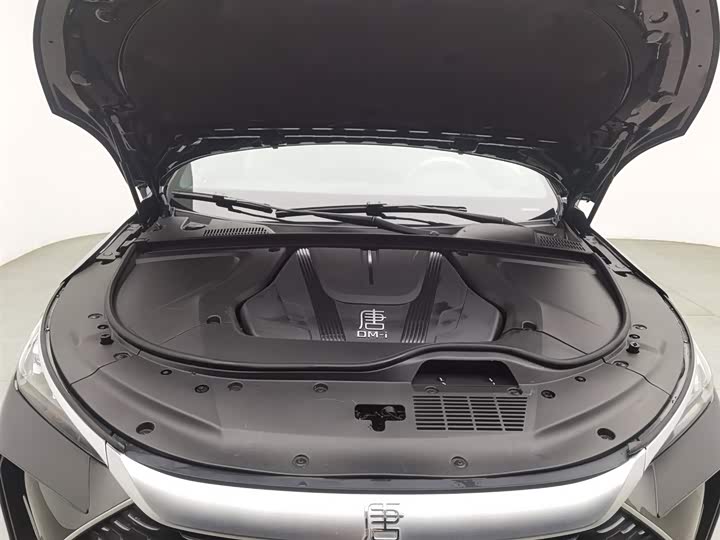 Фото 6 - BYD Tang Hybrid/EV