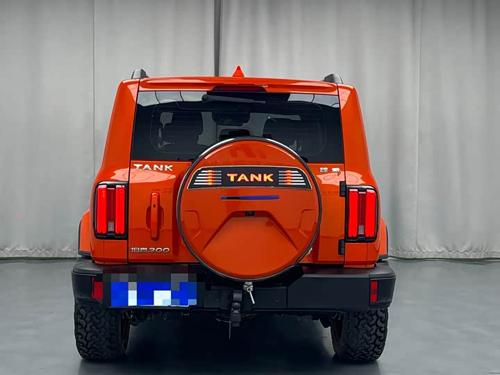 Фото 15 - Tank 300