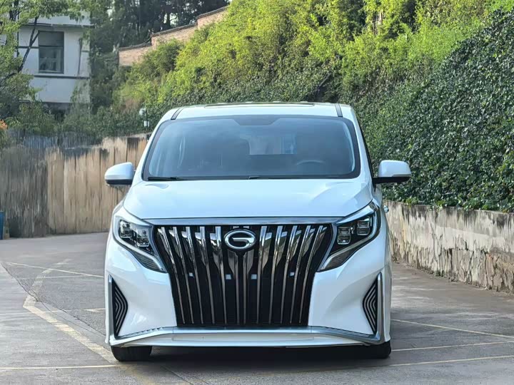 Фото 3 - GAC Trumpchi M8