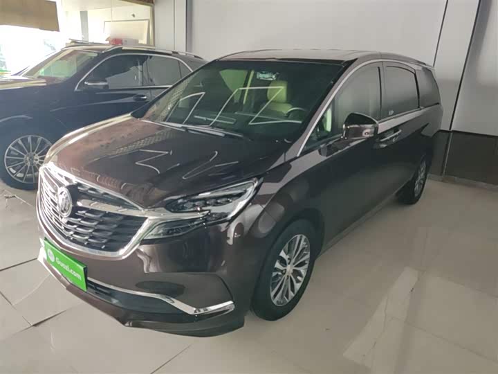 Фото 1 - Buick GL8 ES