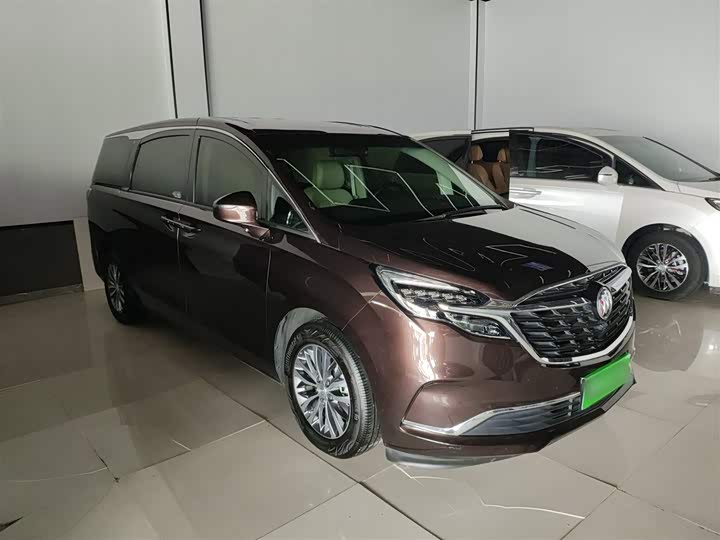 Фото 4 - Buick GL8 ES