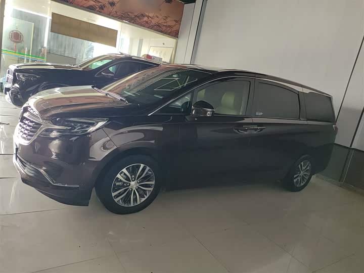 Фото 5 - Buick GL8 ES