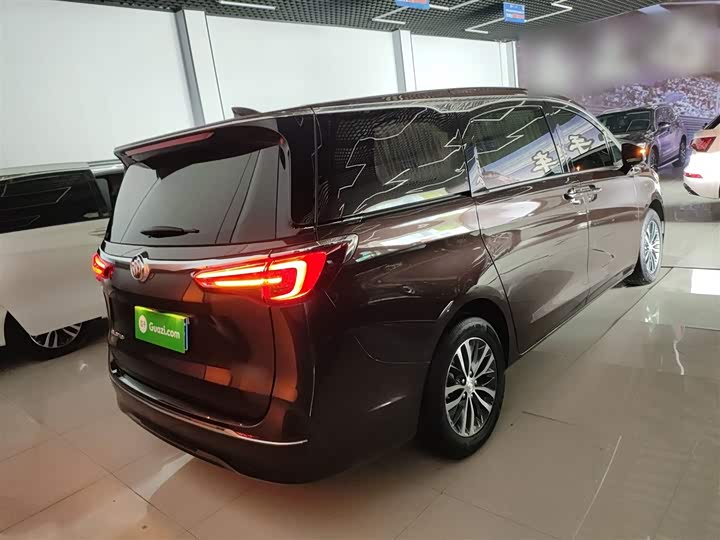 Фото 6 - Buick GL8 ES