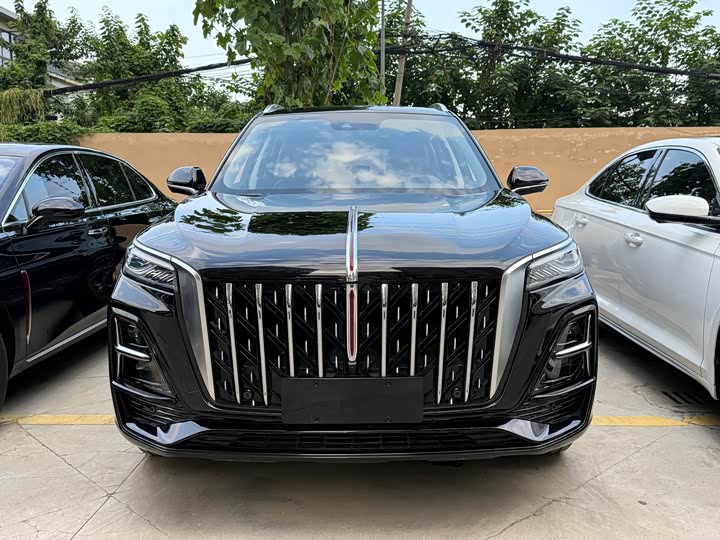 Фото 2 - Hongqi HS5