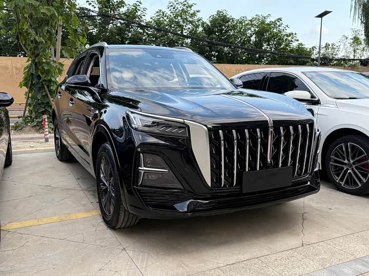 Фото 3 - Hongqi HS5