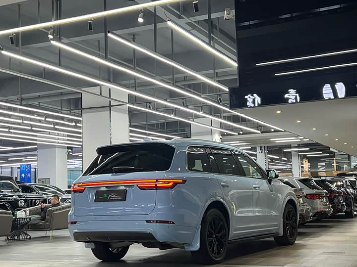 Фото 20 - LiXiang One