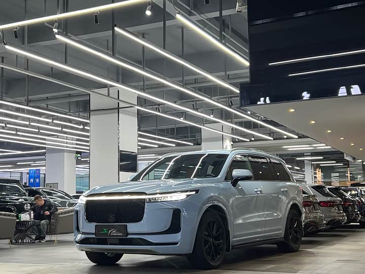 Фото 3 - LiXiang One