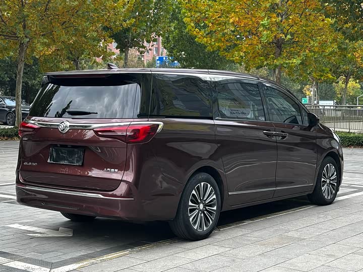 Фото 12 - Buick GL8 ES