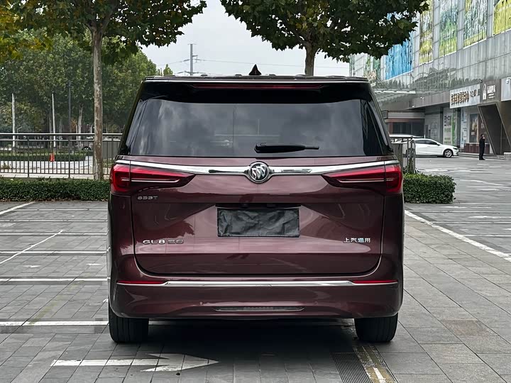 Фото 14 - Buick GL8 ES