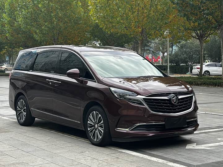 Фото 3 - Buick GL8 ES