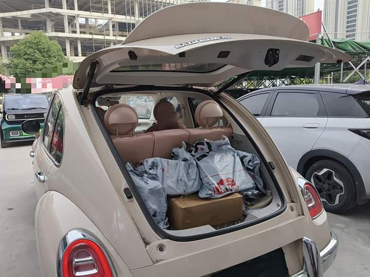 Фото 19 - Ora Ballet Cat