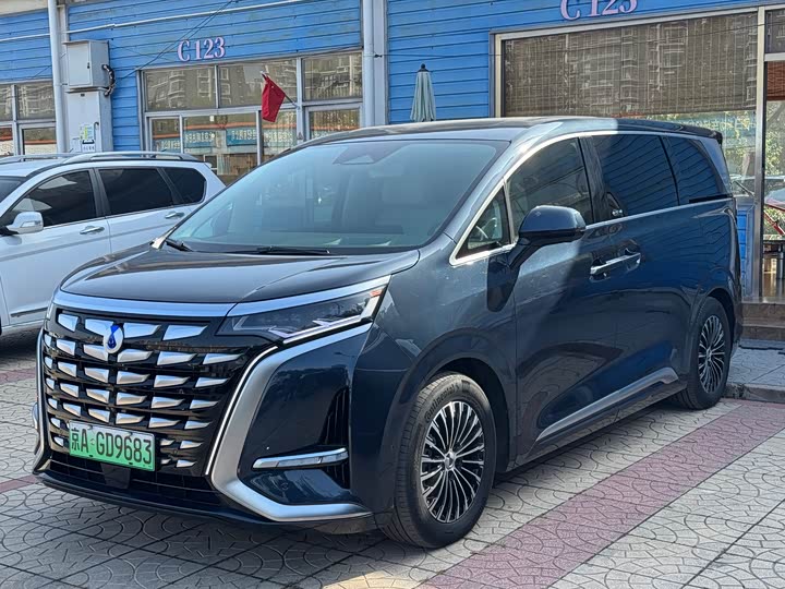 Фото 1 - Denza D9