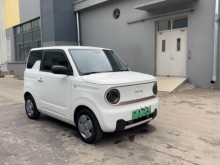 Фото 3 - Geely Galaxy Panda Mini