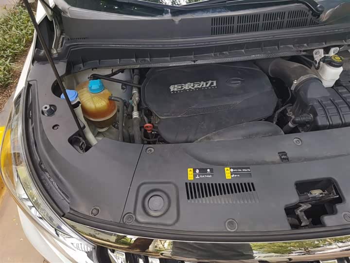 Фото 21 - GAC Trumpchi M8