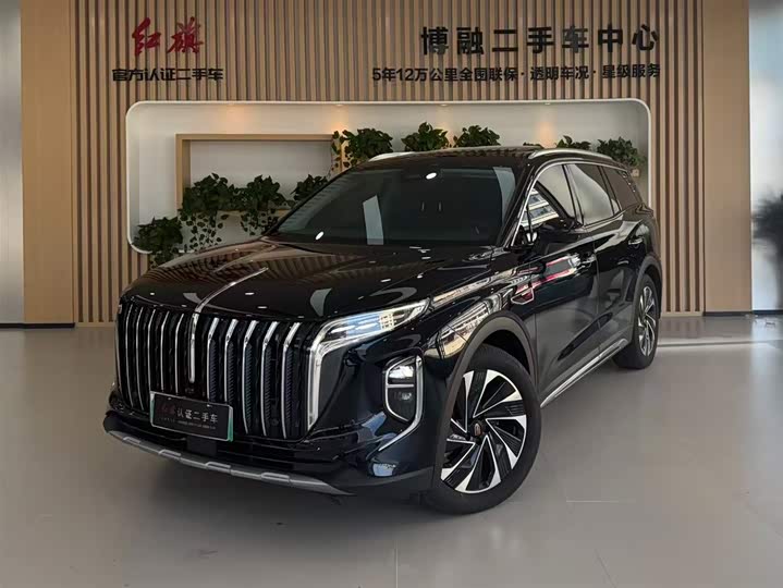 Фото 1 - Hongqi HS7 Hybrid