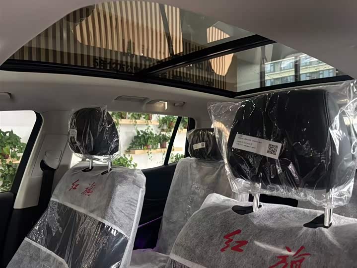 Фото 10 - Hongqi HS7 Hybrid