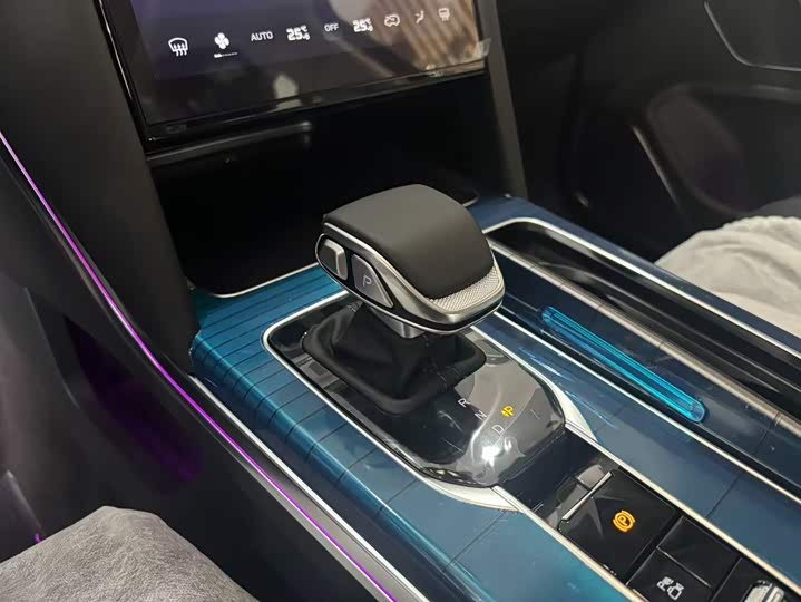 Фото 11 - Hongqi HS7 Hybrid