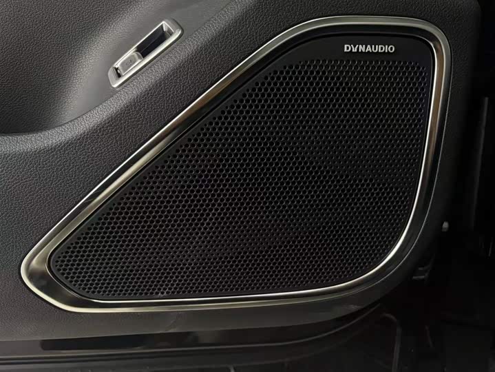 Фото 12 - Hongqi HS7 Hybrid