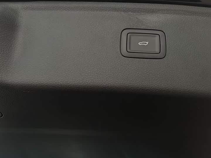 Фото 13 - Hongqi HS7 Hybrid