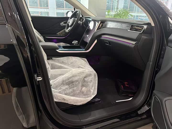 Фото 6 - Hongqi HS7 Hybrid