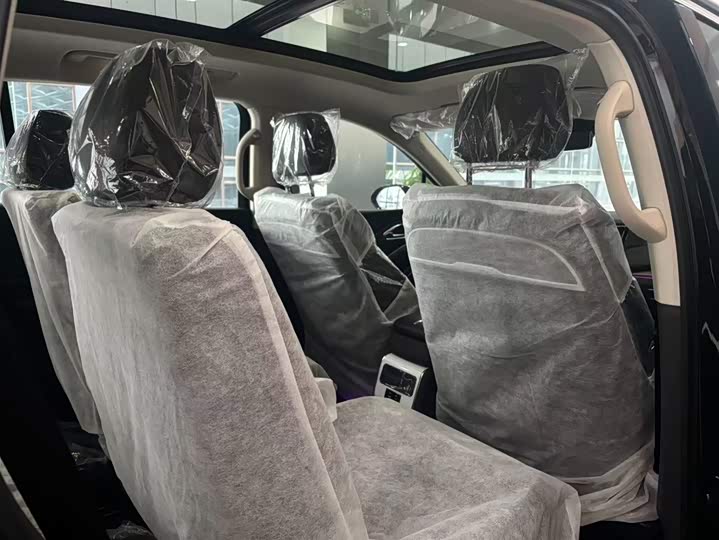 Фото 7 - Hongqi HS7 Hybrid