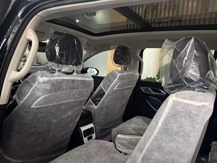 Фото 9 - Hongqi HS7 Hybrid