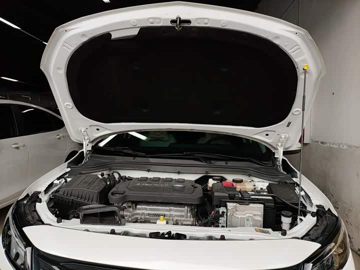 Фото 10 - Chevrolet Monza