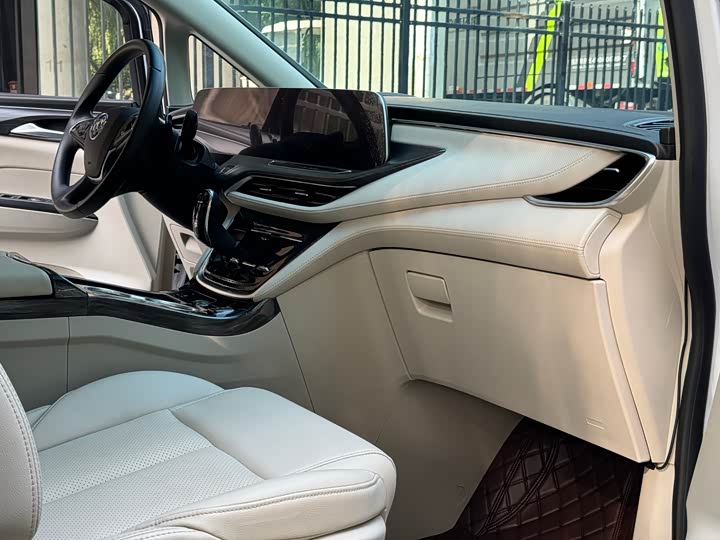 Фото 10 - Buick GL8 ES