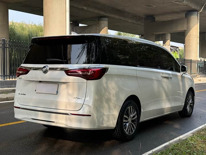 Фото 18 - Buick GL8 ES