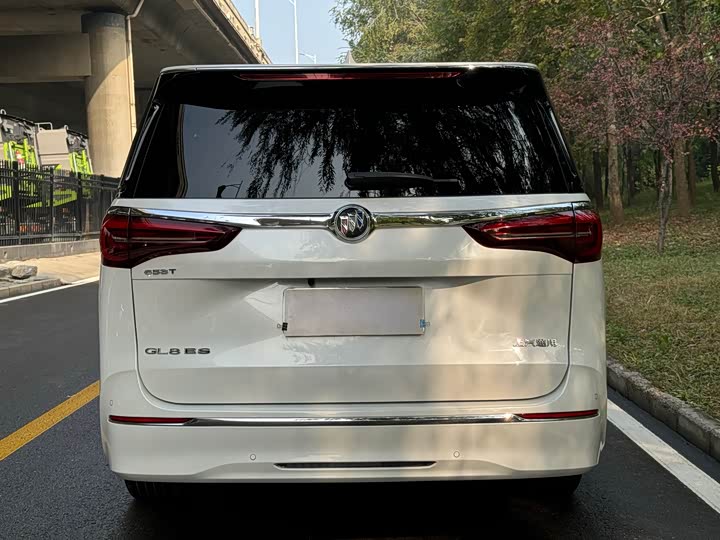 Фото 19 - Buick GL8 ES