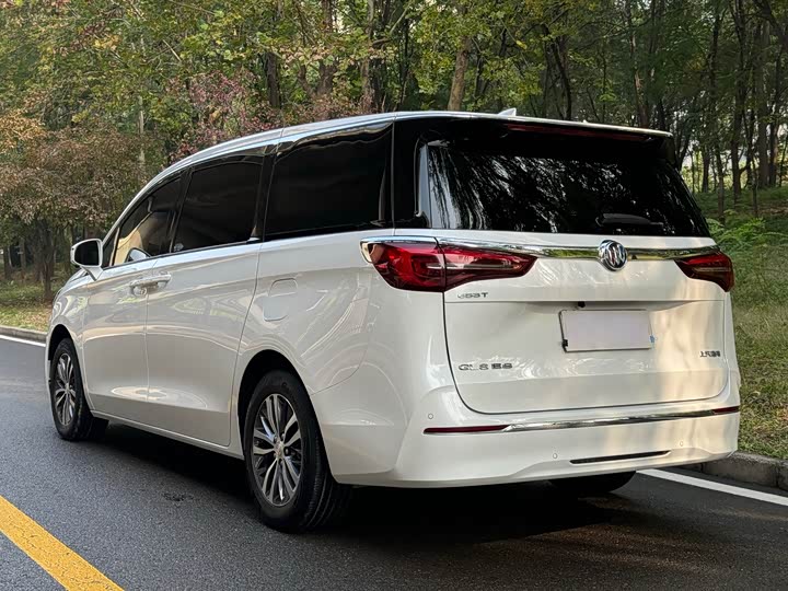 Фото 20 - Buick GL8 ES